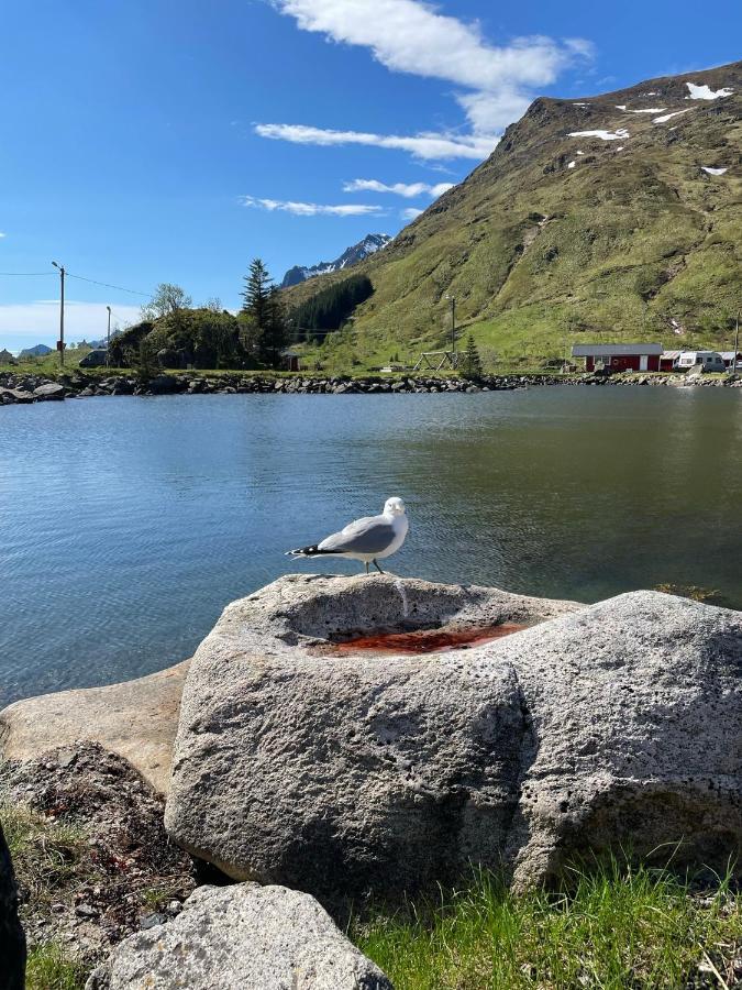 Brustranda Fjordcamping Valberg Ngoại thất bức ảnh